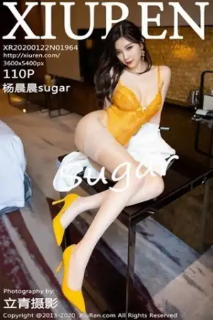 [XiuRen秀人网]No.1964_女神杨晨晨sugar私房精致镂空内衣配肉色蕾丝袜完美诱惑写真110P